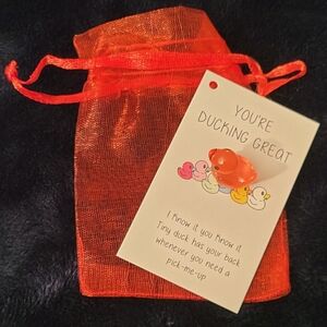 Pocket Hug Red Duck